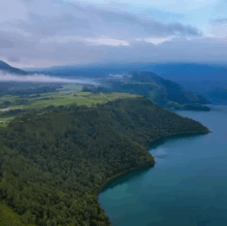 Hutan Samosir