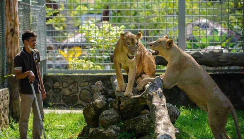 Medan Zoo