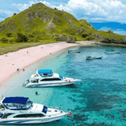 Pink Beach Terindah