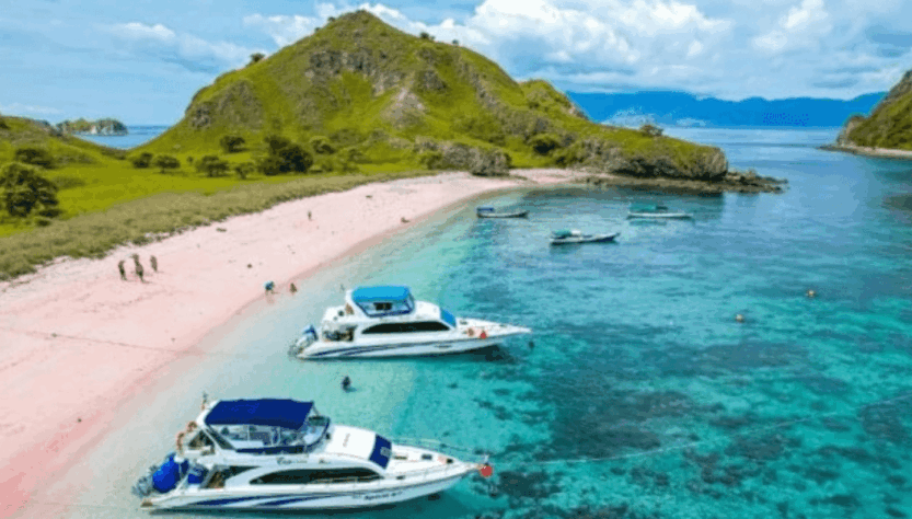 Pink Beach Terindah