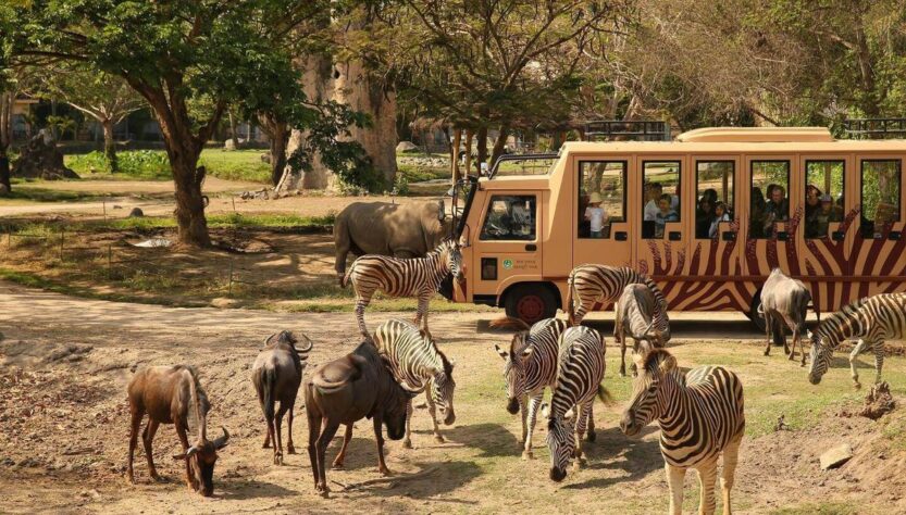 Bali Safari
