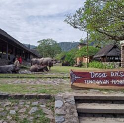Desa Tenganan Pegringsingan