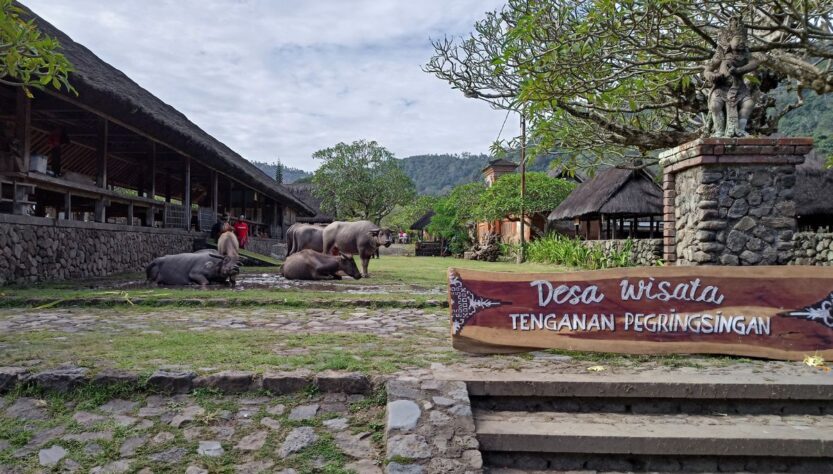 Desa Tenganan Pegringsingan