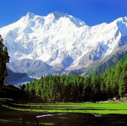 Gunung Himalaya