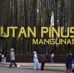 Hutan Pinus Mangunan