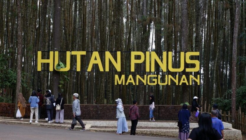 Hutan Pinus Mangunan