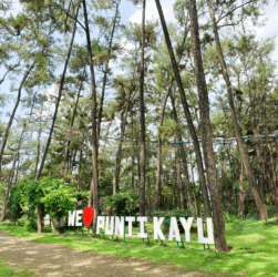 Hutan Punti Kayu