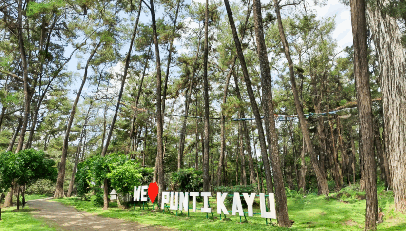 Hutan Punti Kayu