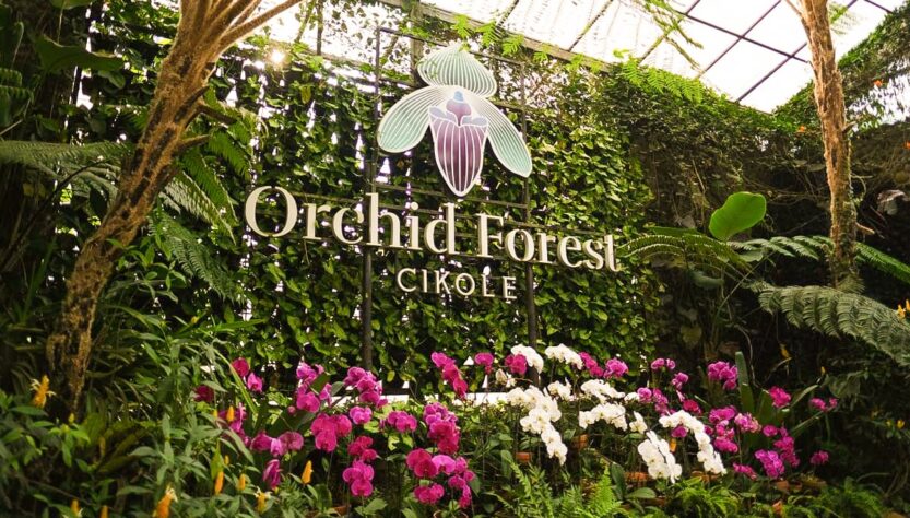 Orchid Forest Cikole