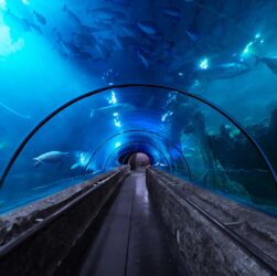 Seaworld Ancol