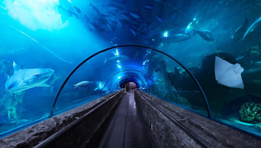 Seaworld Ancol
