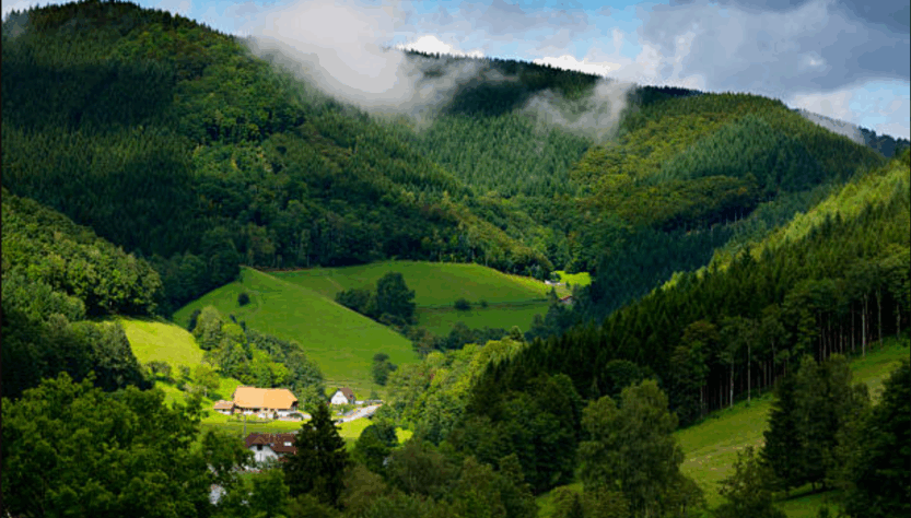 Black Forest Jerman