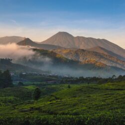 Gunung Gede Pangrango
