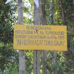 Hutan Adat Maluku