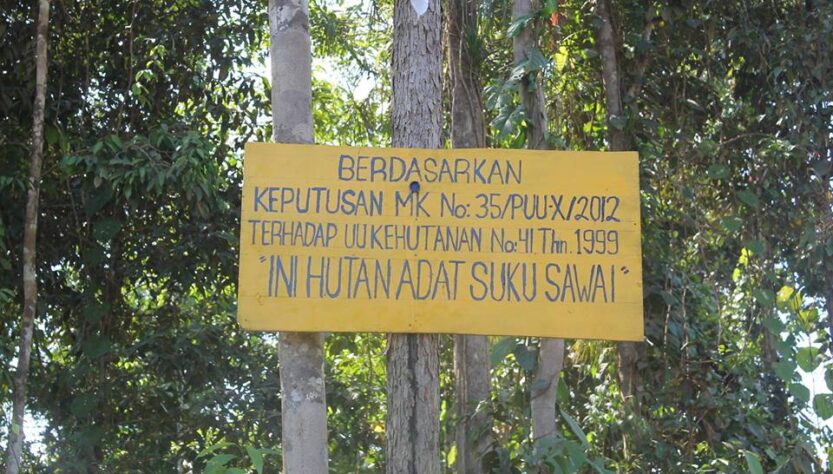 Hutan Adat Maluku