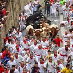 Festival San Fermín