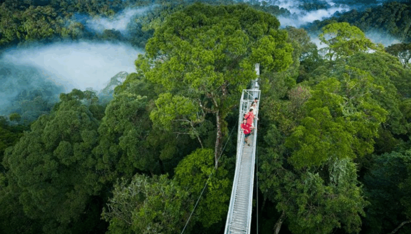 Monteverde Cloud Forest