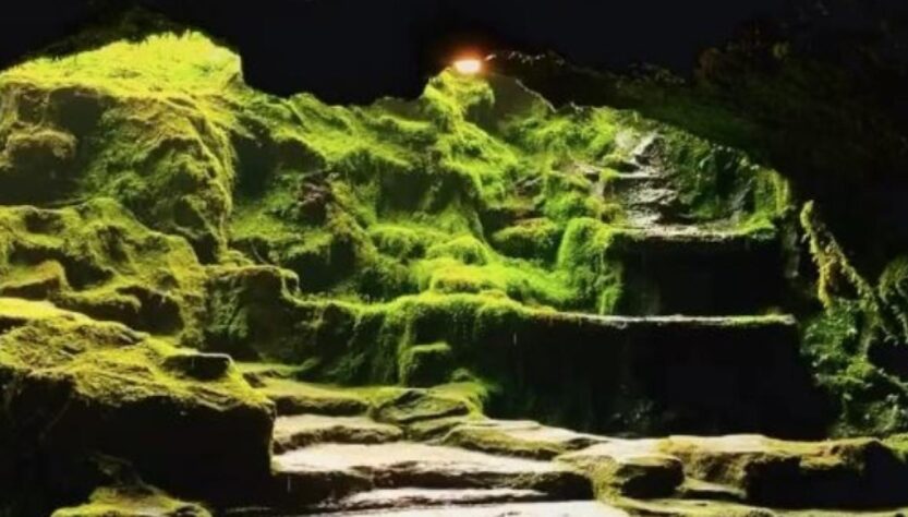 Goa Lawa Purbalingga