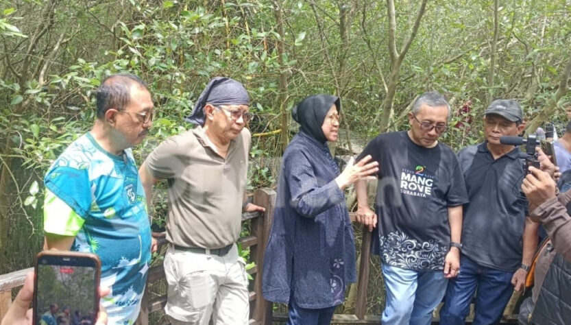 Ekosistem Mangrove