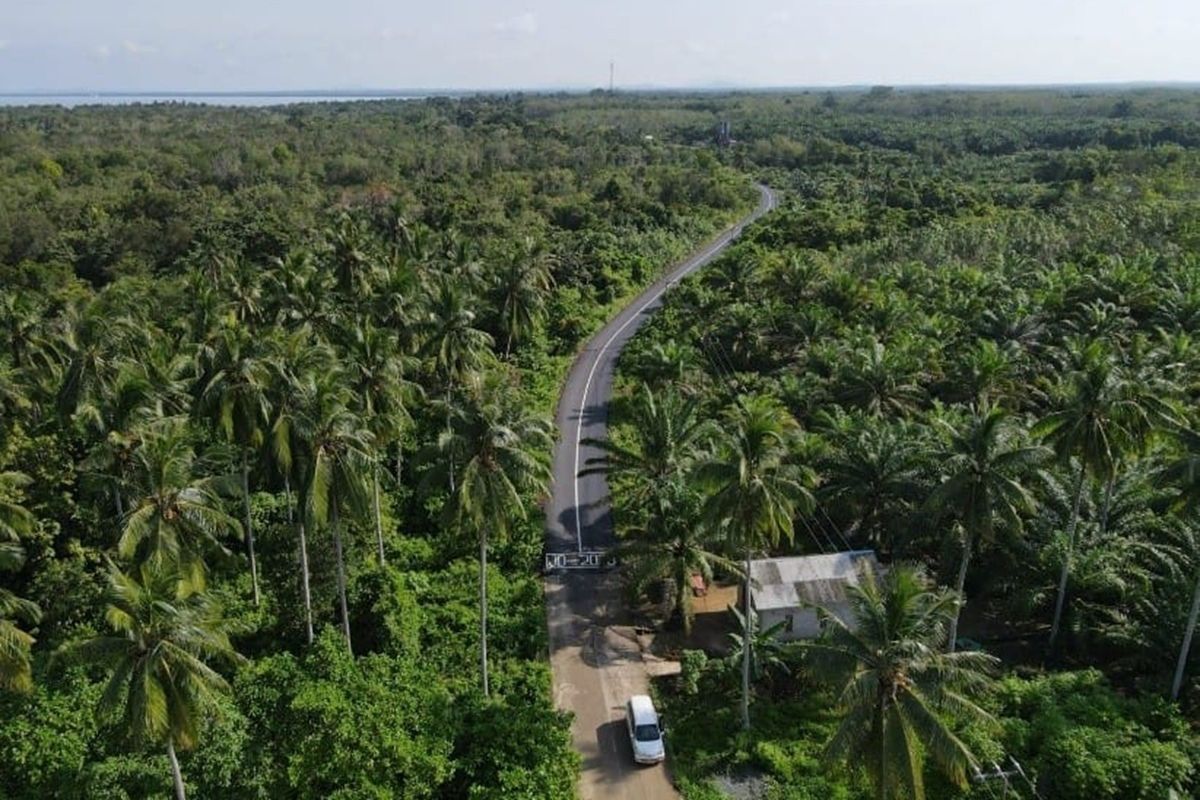 Akses Pantai Kotabaru Lebih Mudah Setelah Perbaikan Jalan Ilustrasi akses pantai kotabaru untuk artikel Jalan Baru Buka Akses Pantai Kotabaru